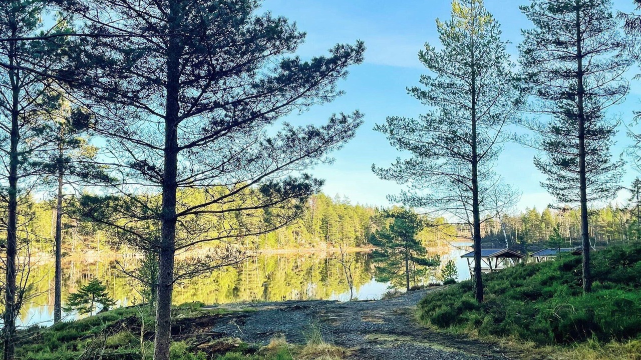 Photo of Others in Backefors