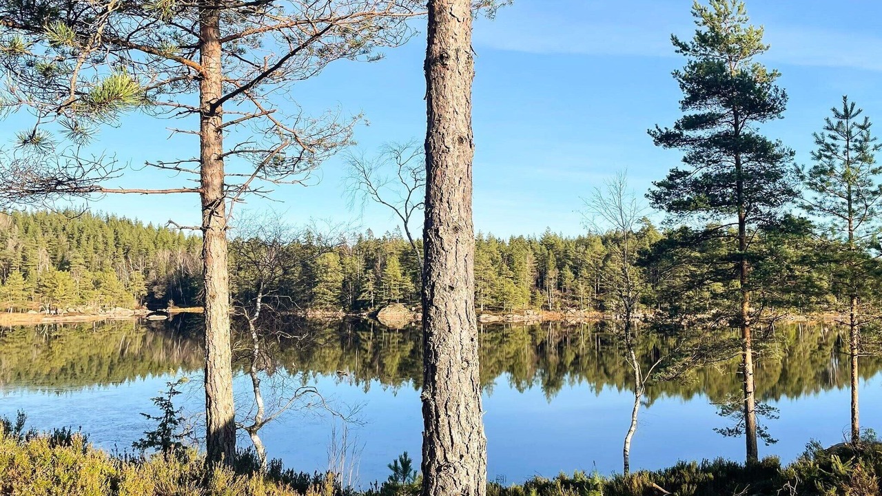 Photo of Others in Backefors