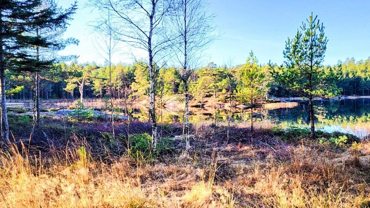 Photo of Others in Backefors