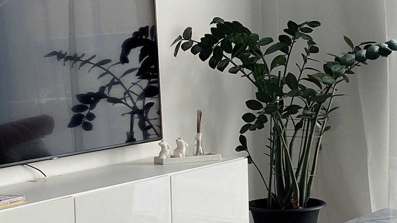 Photo of Livingroom in Halmstad