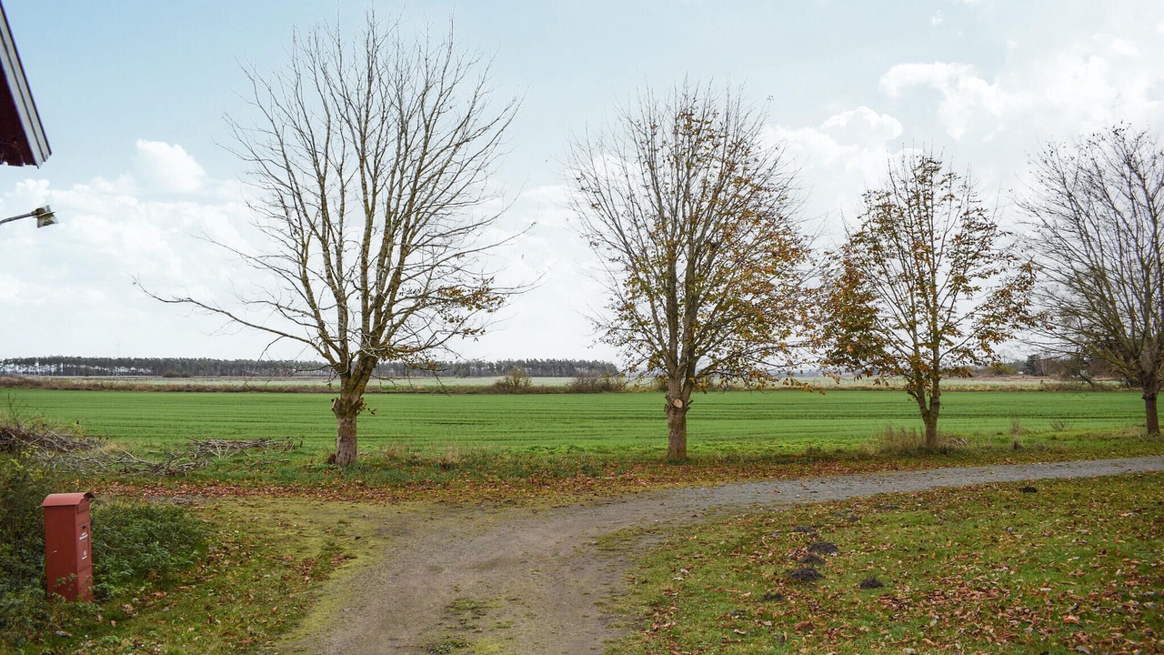 Photo of Others in Everod