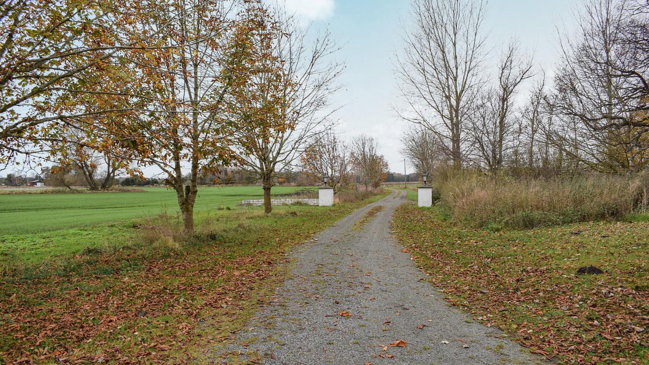 Photo of Others in Everod