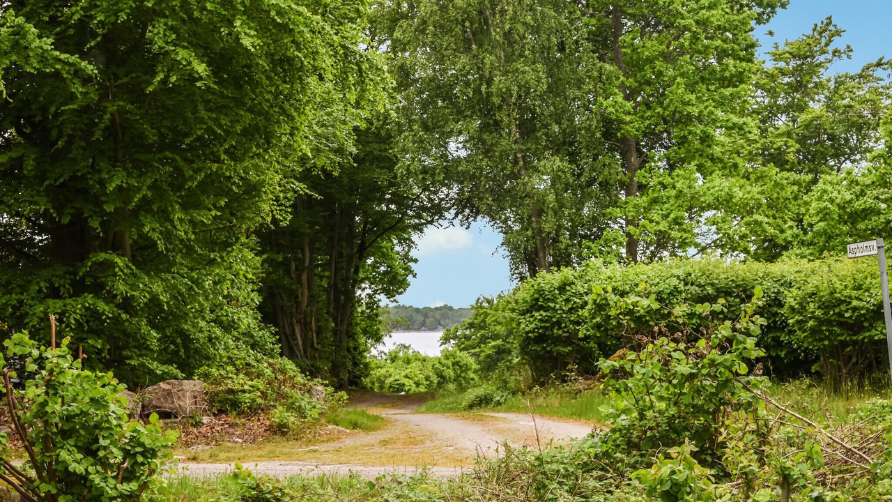 Photo of Others in Ronneby