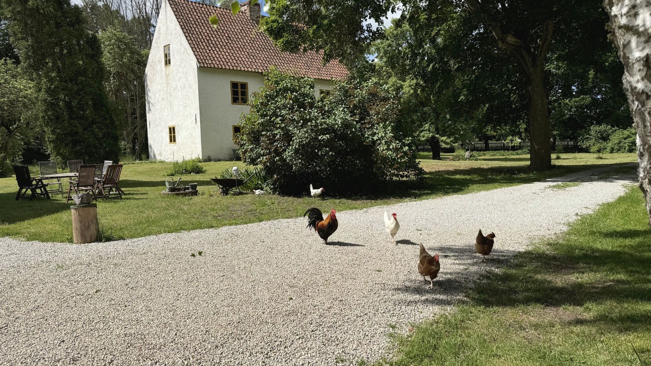 Photo of Outdoor in Romakloster