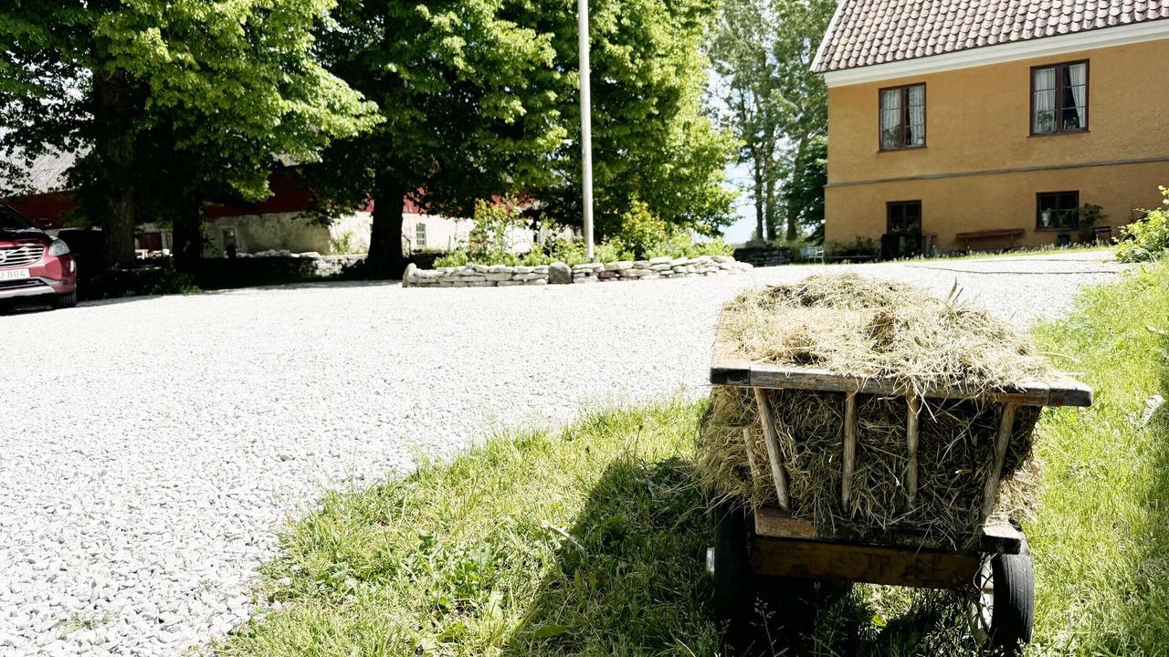 Photo of Outdoor in Romakloster