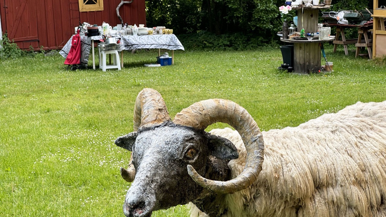 Photo of Outdoor in Romakloster