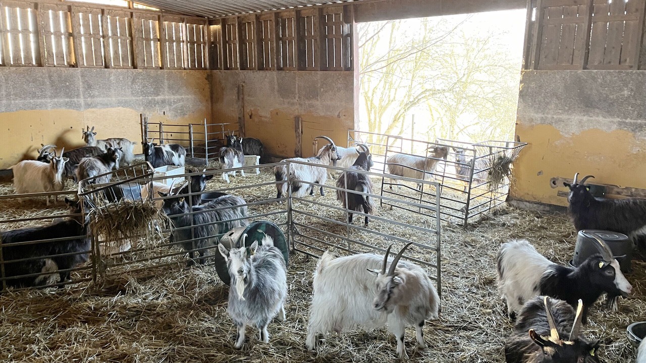 Photo of Outdoor in Orranas