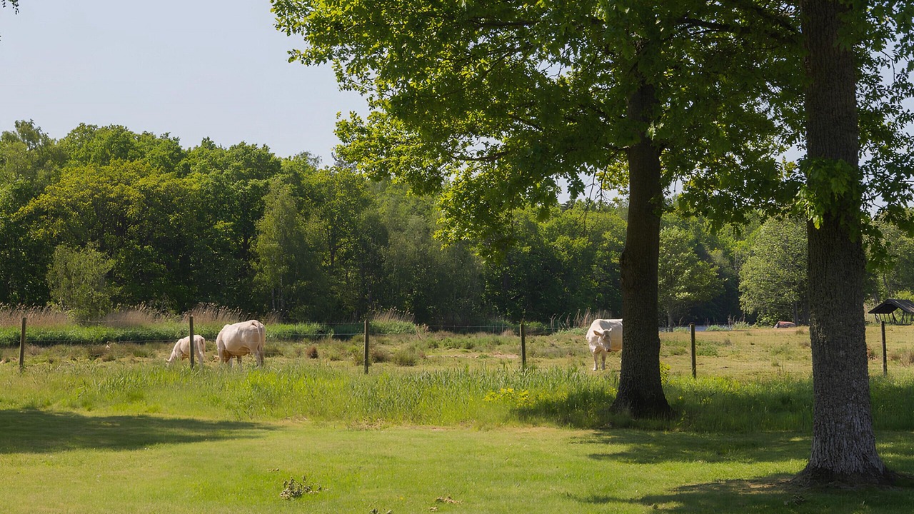 Photo of Others in Kalmar Municipality