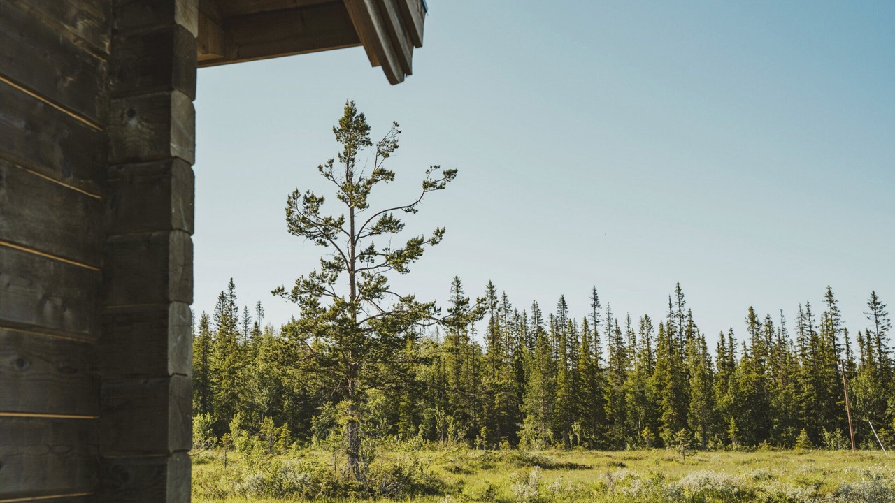 Photo of Outdoor in Undersaker