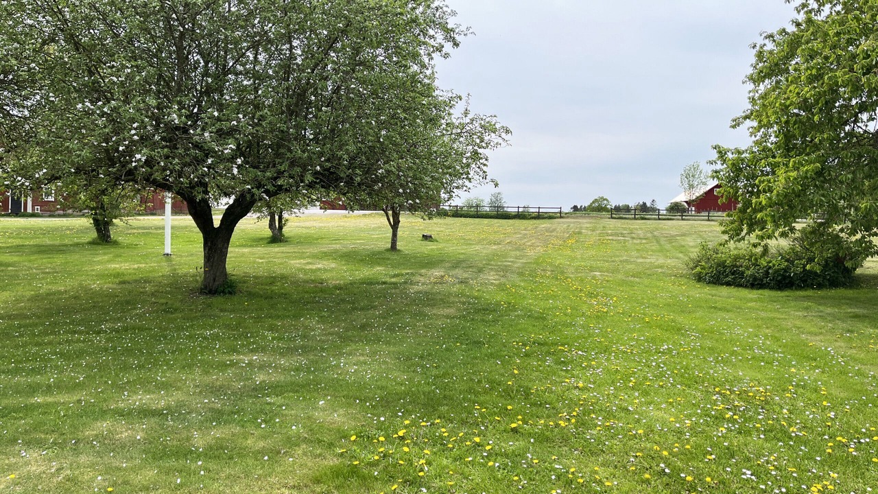 Photo of Outdoor in Gullringen