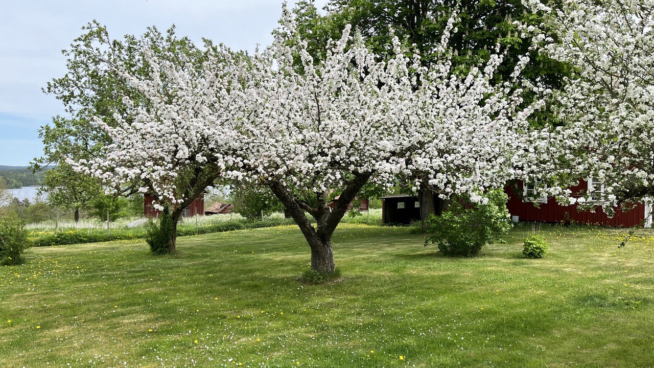 Photo of Outdoor in Gullringen