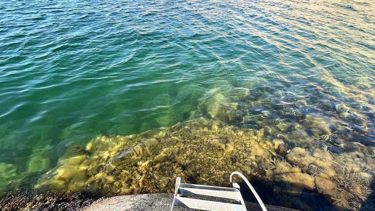 Photo of Others in Hamburgsund