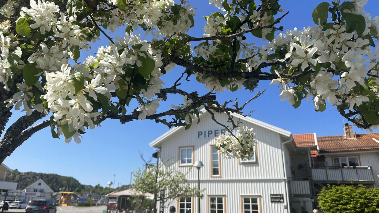 Photo of Others in Hamburgsund