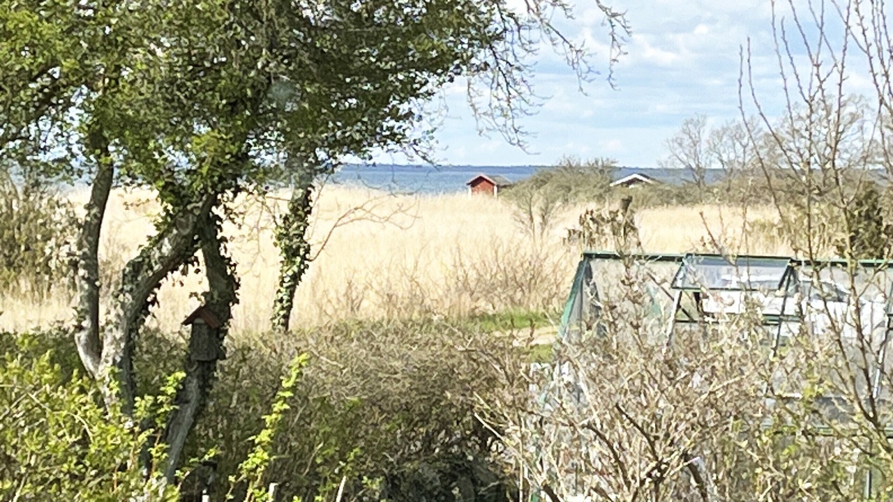 Photo of Others in Farjestaden