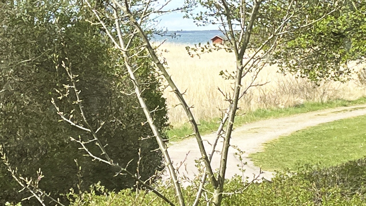 Photo of Others in Farjestaden