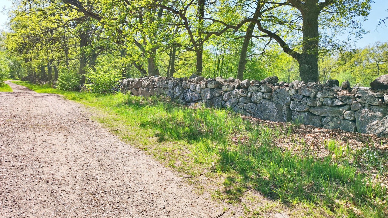 Photo of Others in Tofta