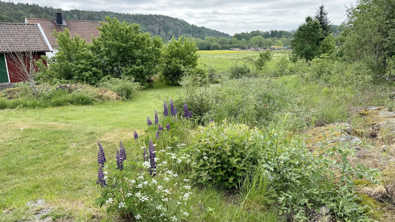 Photo of Outdoor in Varekil