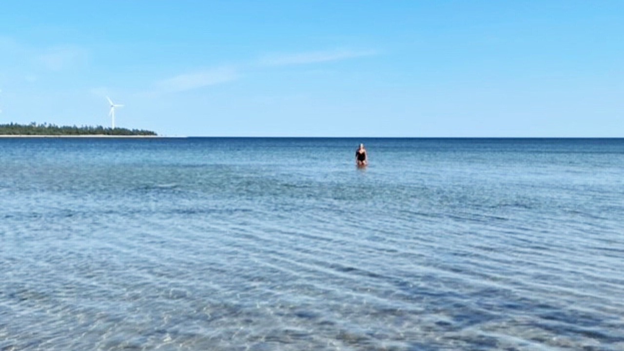 Photo of Others in Larbro