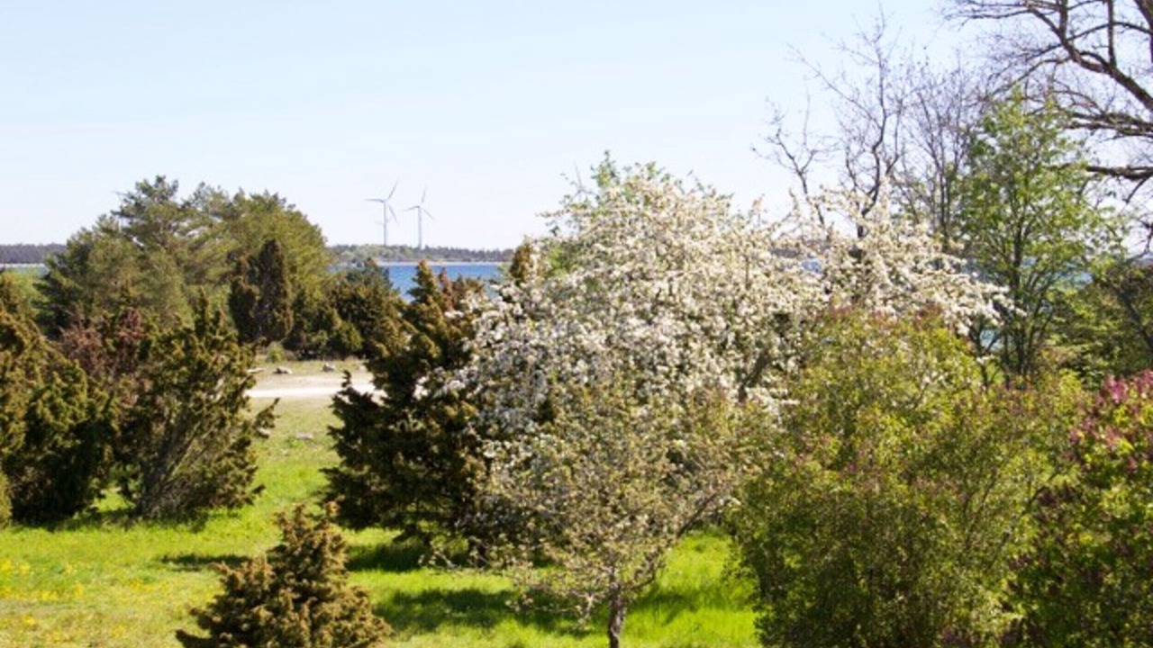 Photo of Others in Larbro