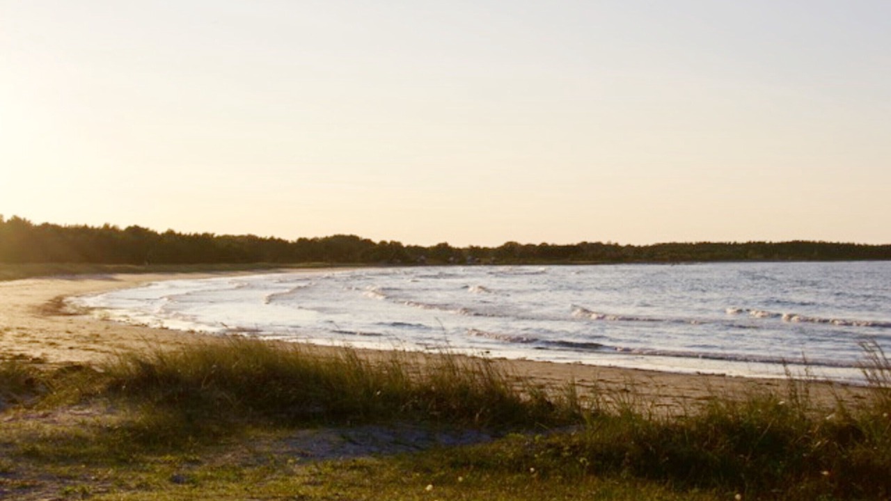 Photo of Others in Larbro