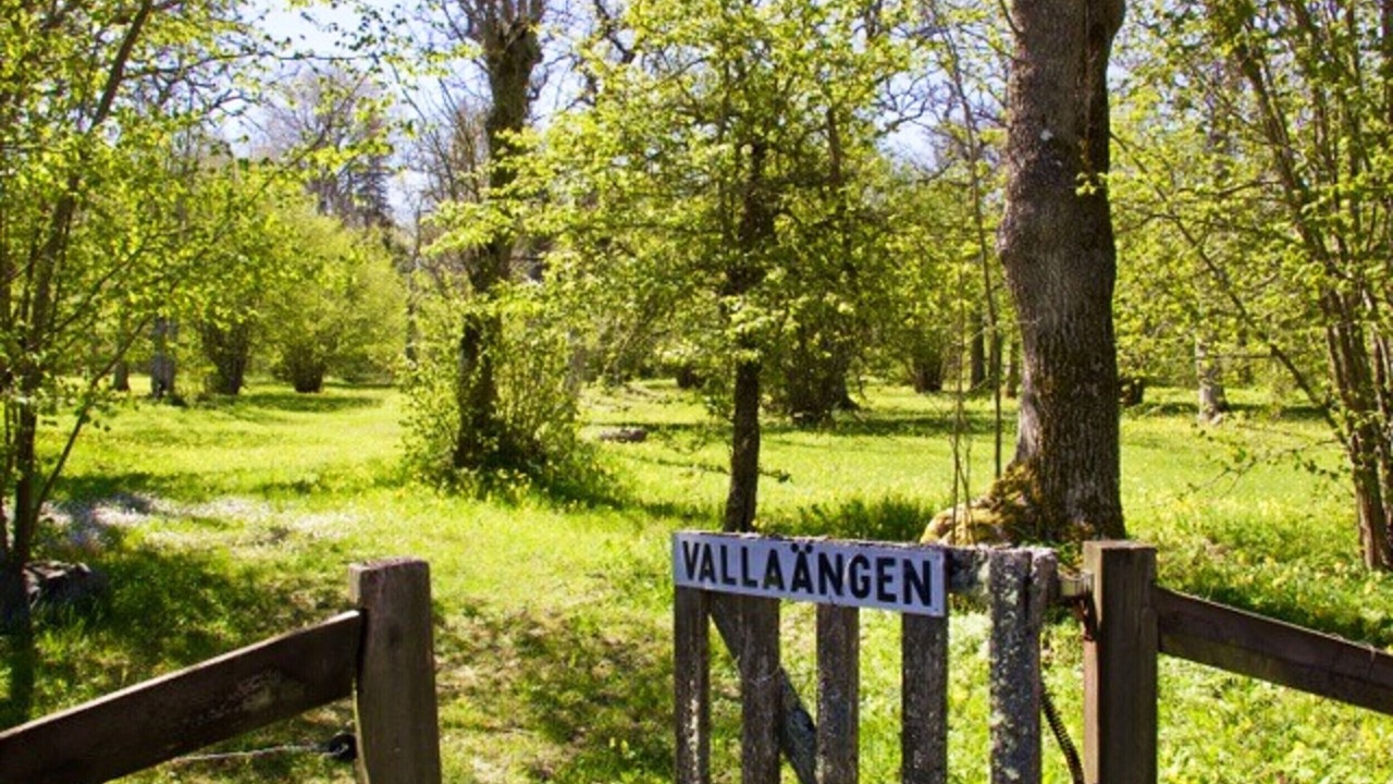 Photo of Others in Larbro
