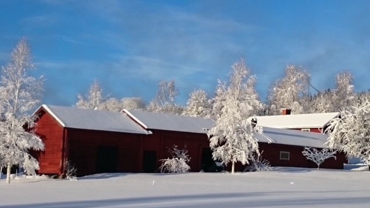 Photo of Outdoor in Bjursas
