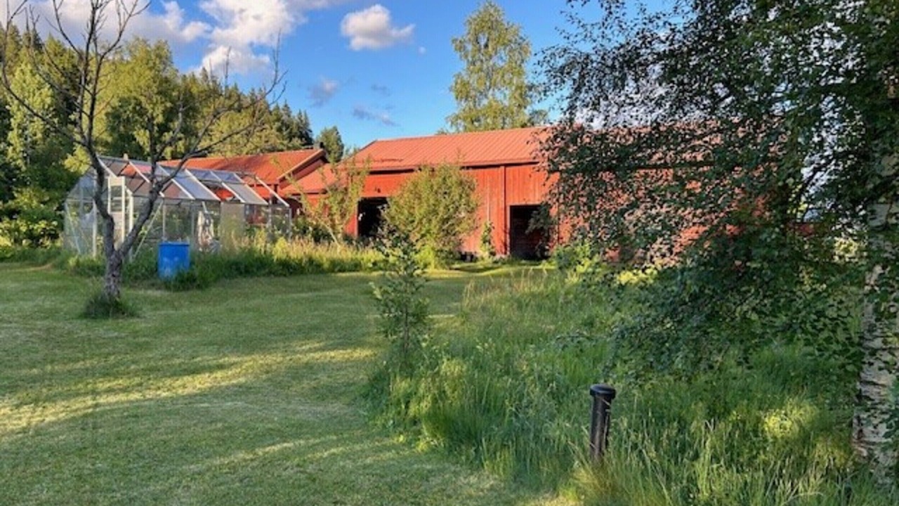 Photo of Outdoor in Bjursas
