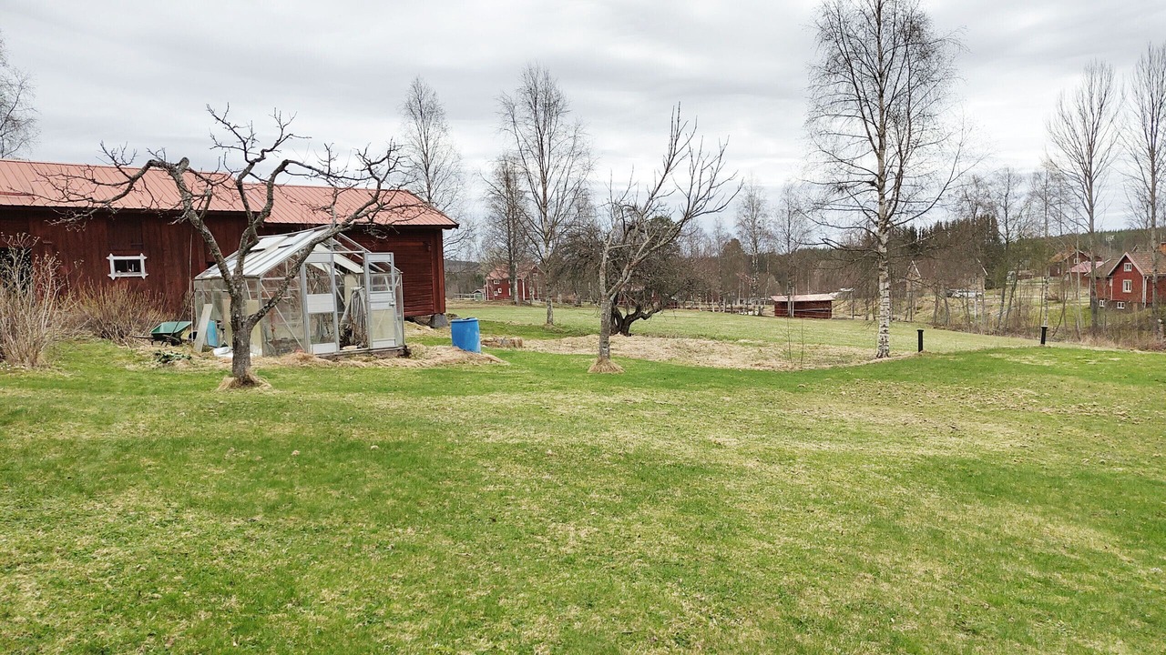 Photo of Outdoor in Bjursas