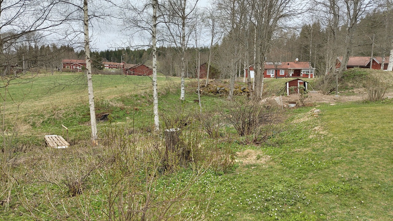 Photo of Outdoor in Bjursas