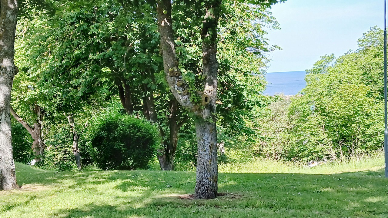 Photo of Others in Innerstaden