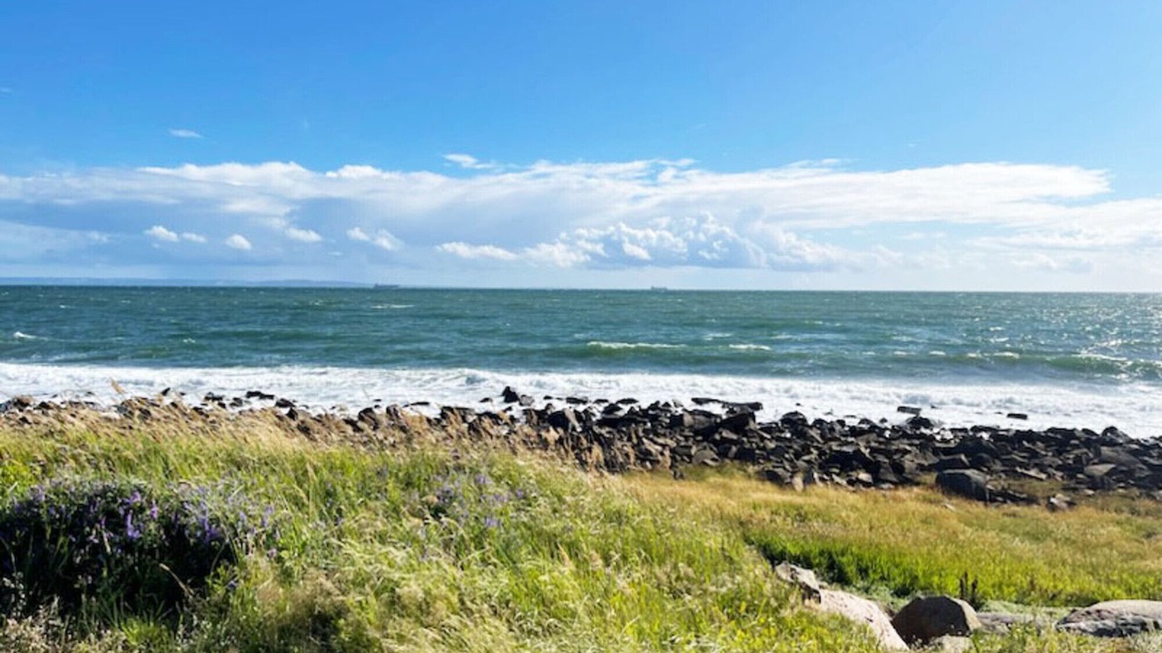 Photo of Others in Halmstad
