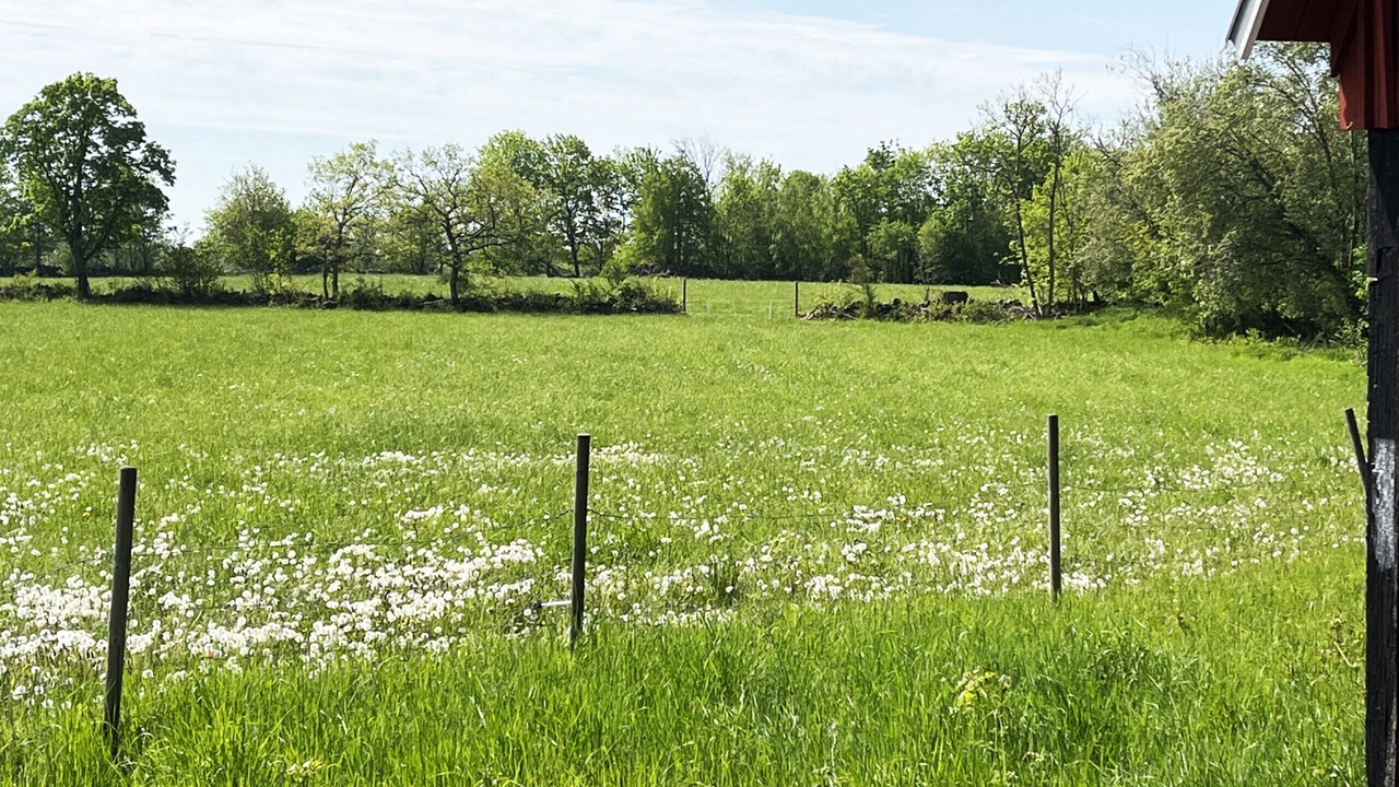 Photo of Outdoor in Storlinge