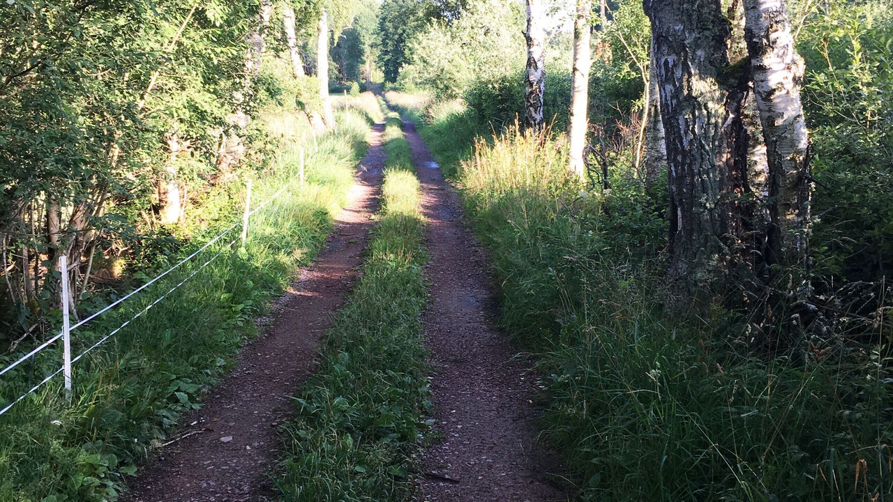 Photo of Outdoor in Granna