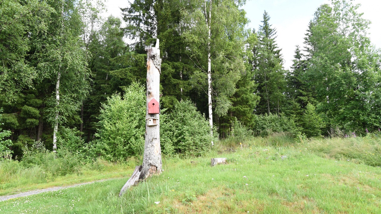 Photo of Others in Arvika