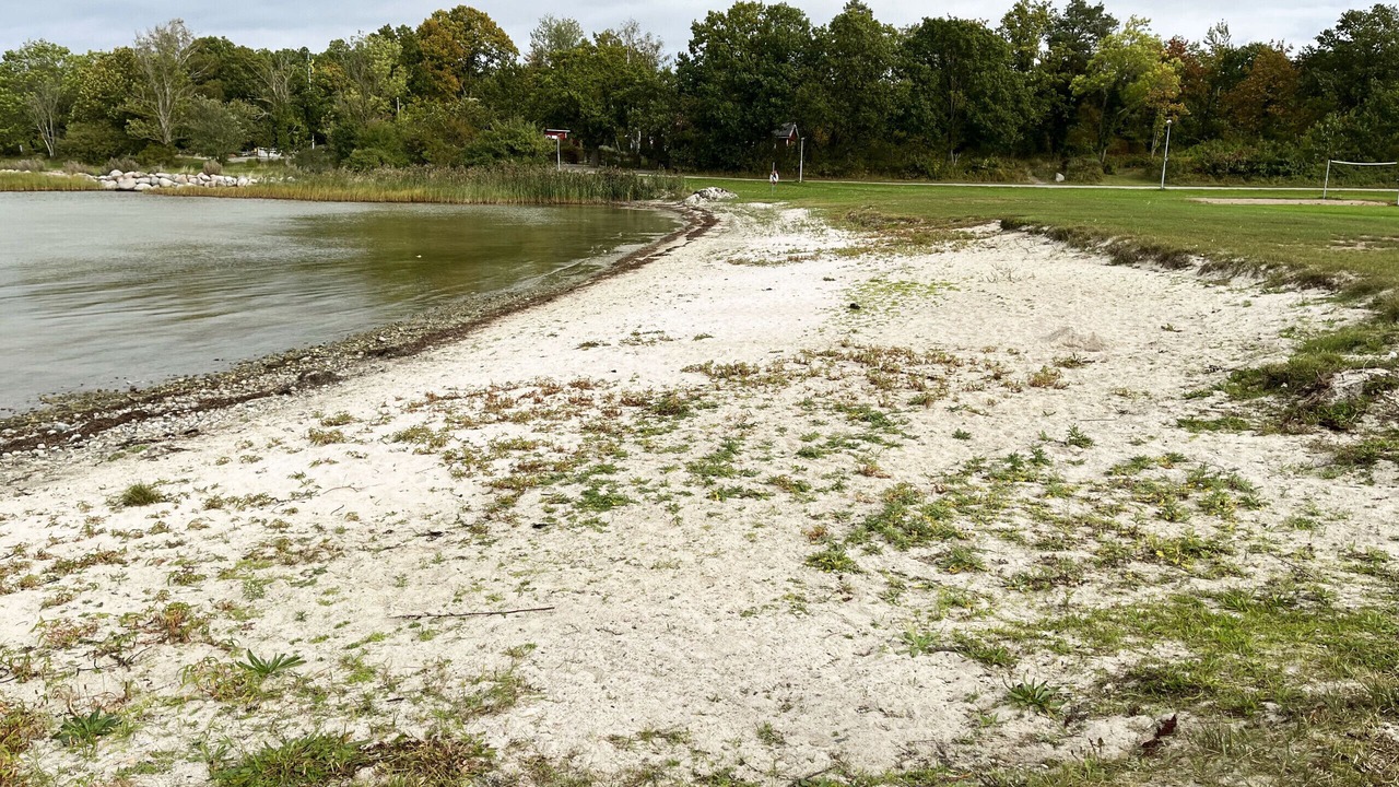 Photo of Others in Borgholm