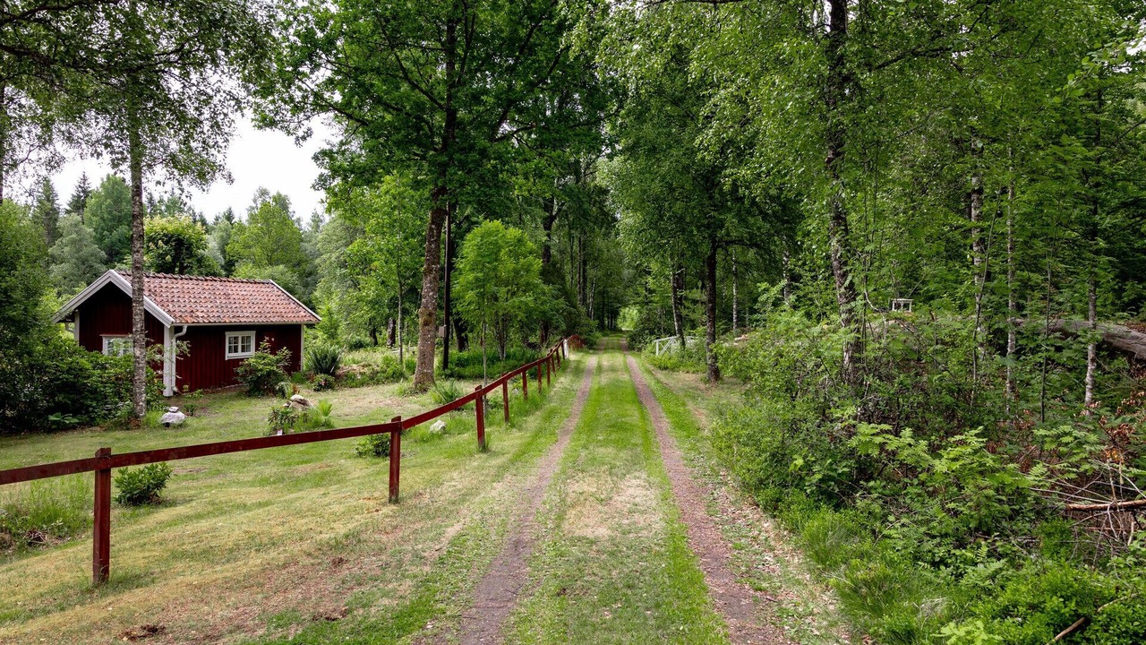 Photo of Outdoor in Bor