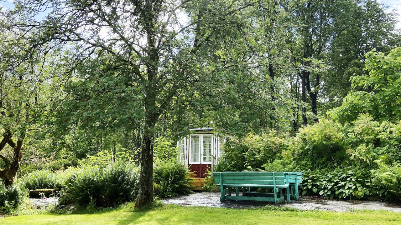 Photo of Outdoor in Bor