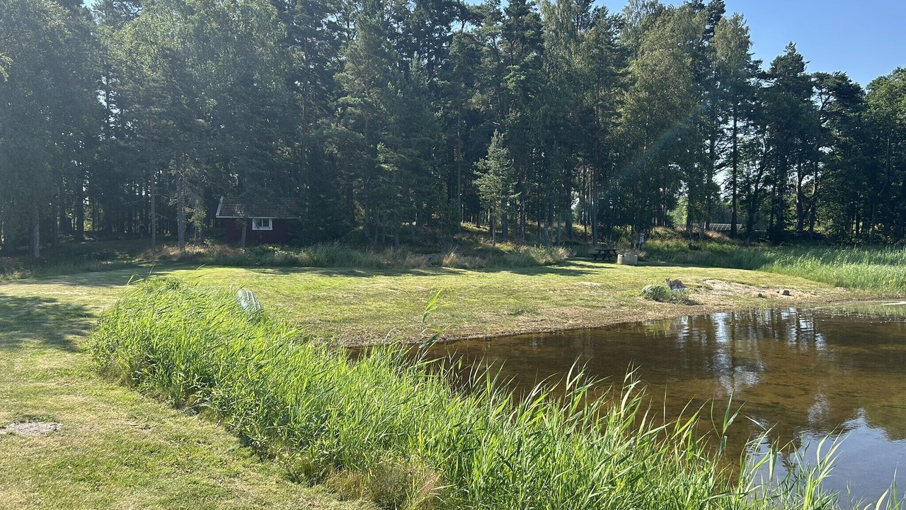 Photo of Outdoor in Mellerud O