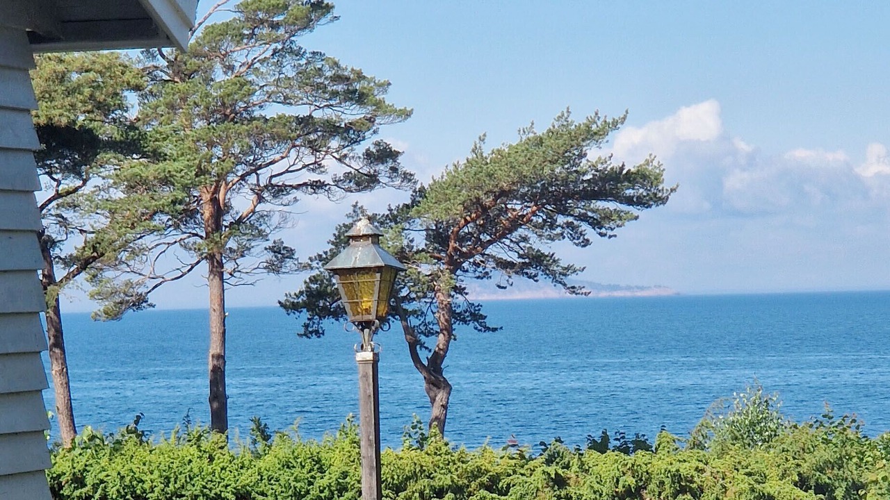 Photo of Others in Byxelkrok
