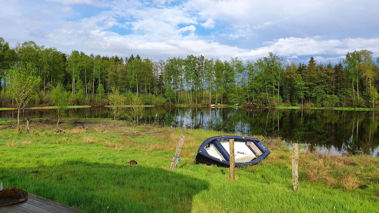 Photo of Others in Hamneda