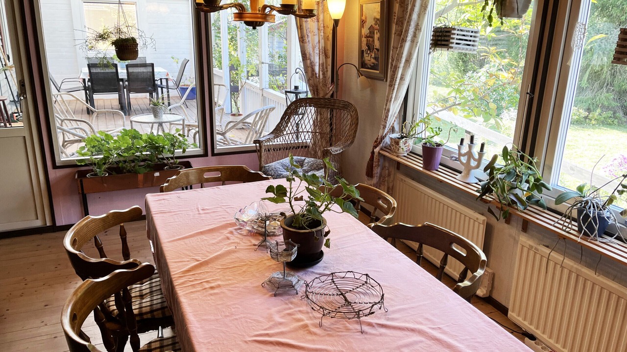Photo of Livingroom in Monsteras