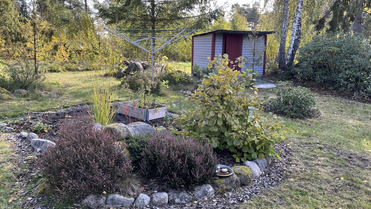 Photo of Outdoor in Monsteras