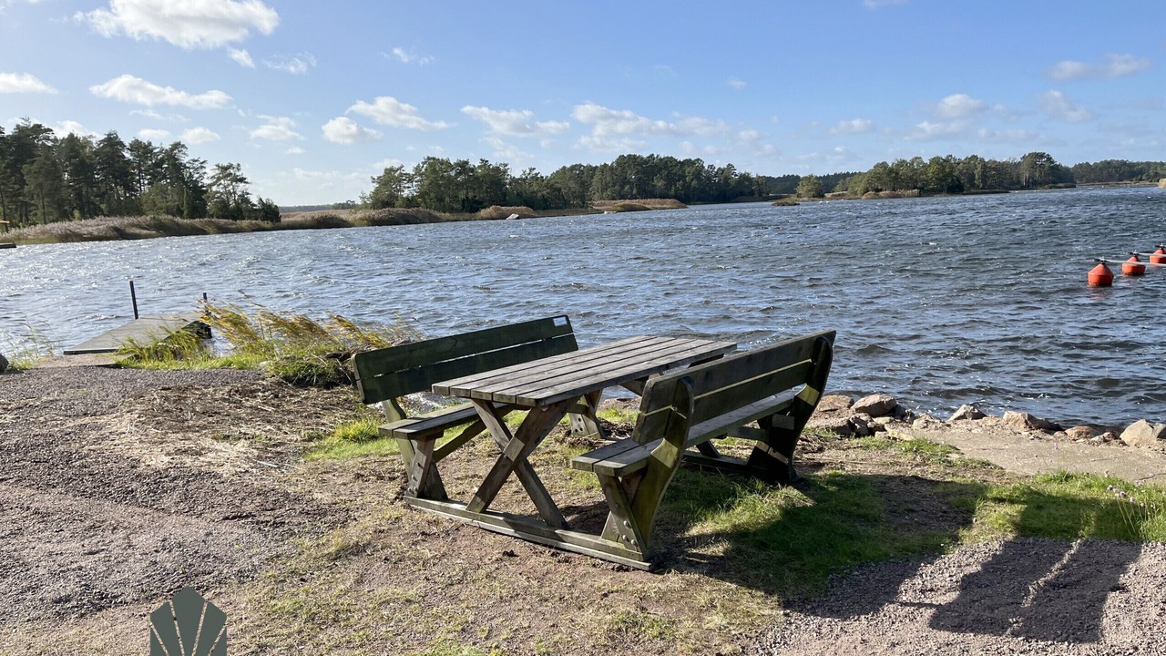 Photo of Outdoor in Monsteras