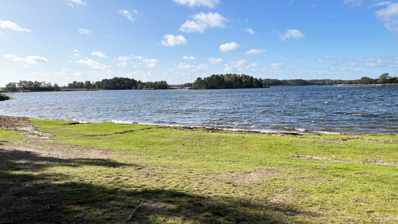 Photo of Outdoor in Monsteras