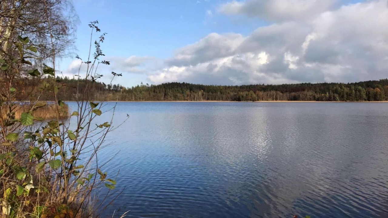 Photo of Others in Ljungskile