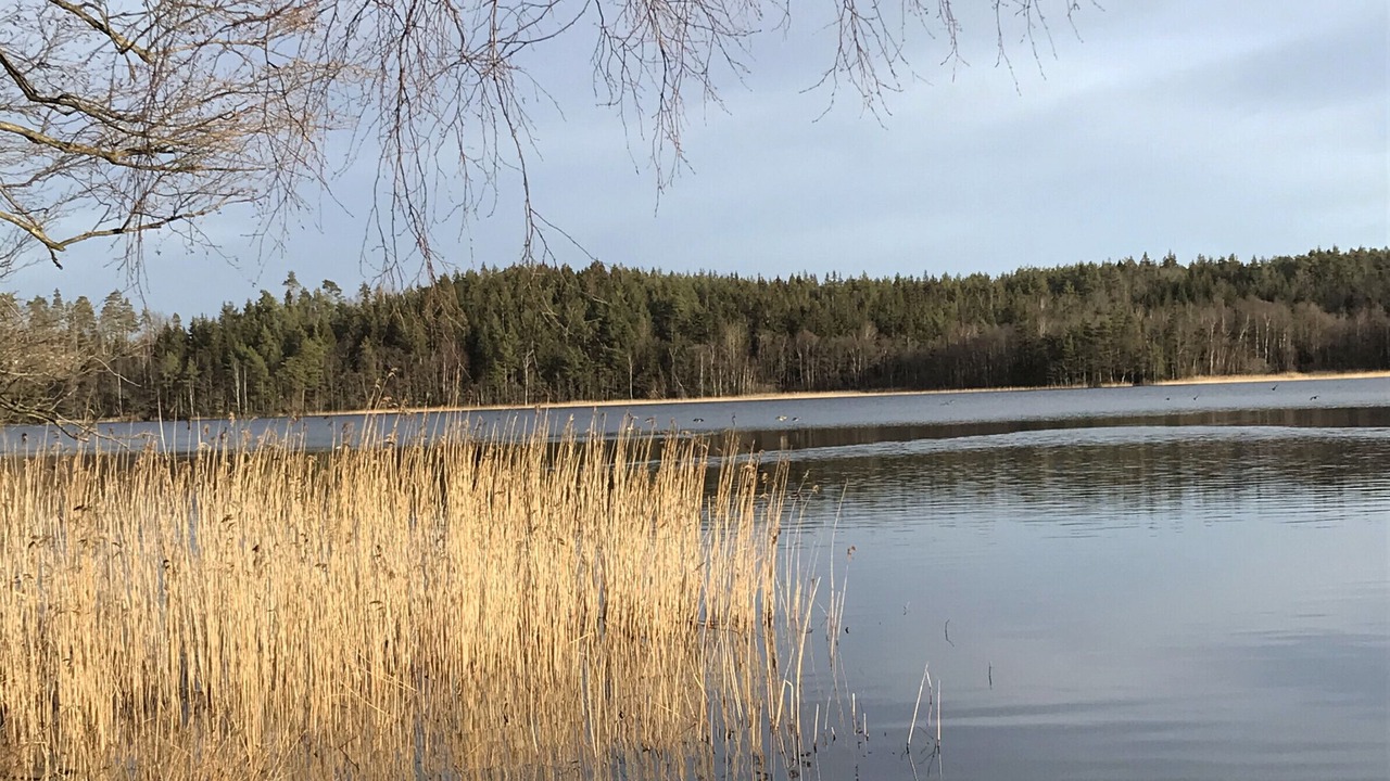 Photo of Others in Ljungskile