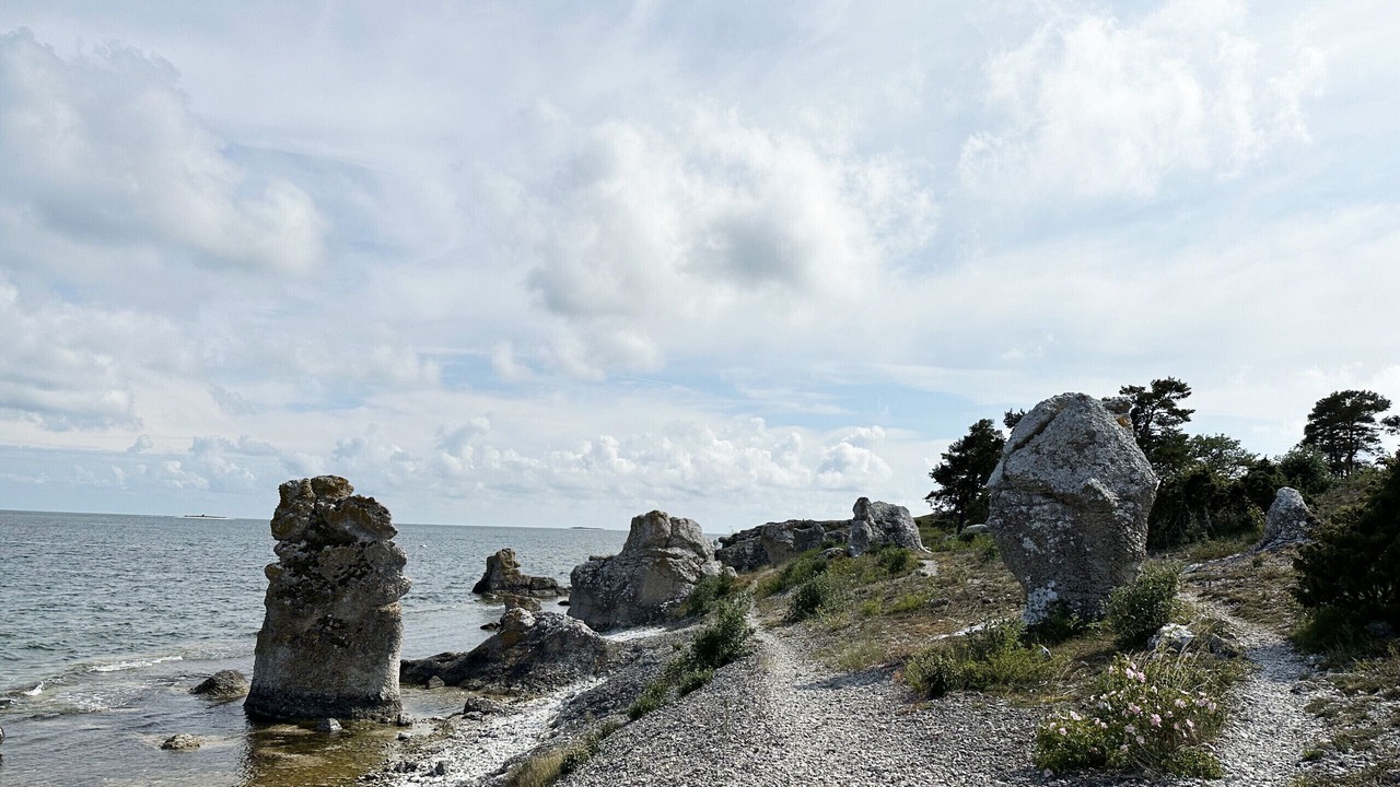 Photo of Others in Larbro