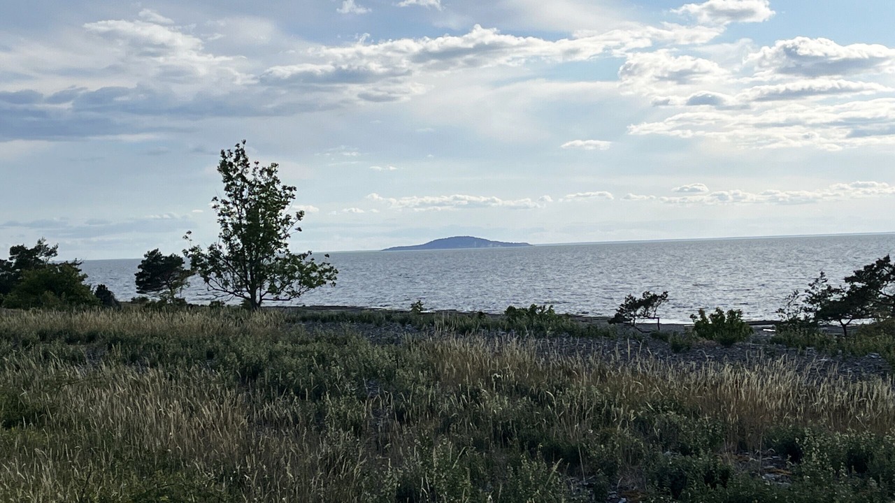 Photo of Others in Byxelkrok