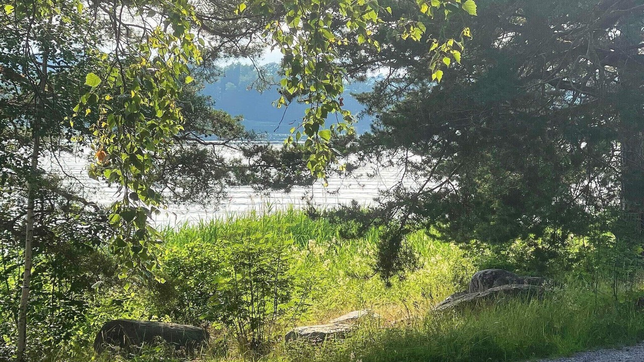 Photo of Others in Vaxholm