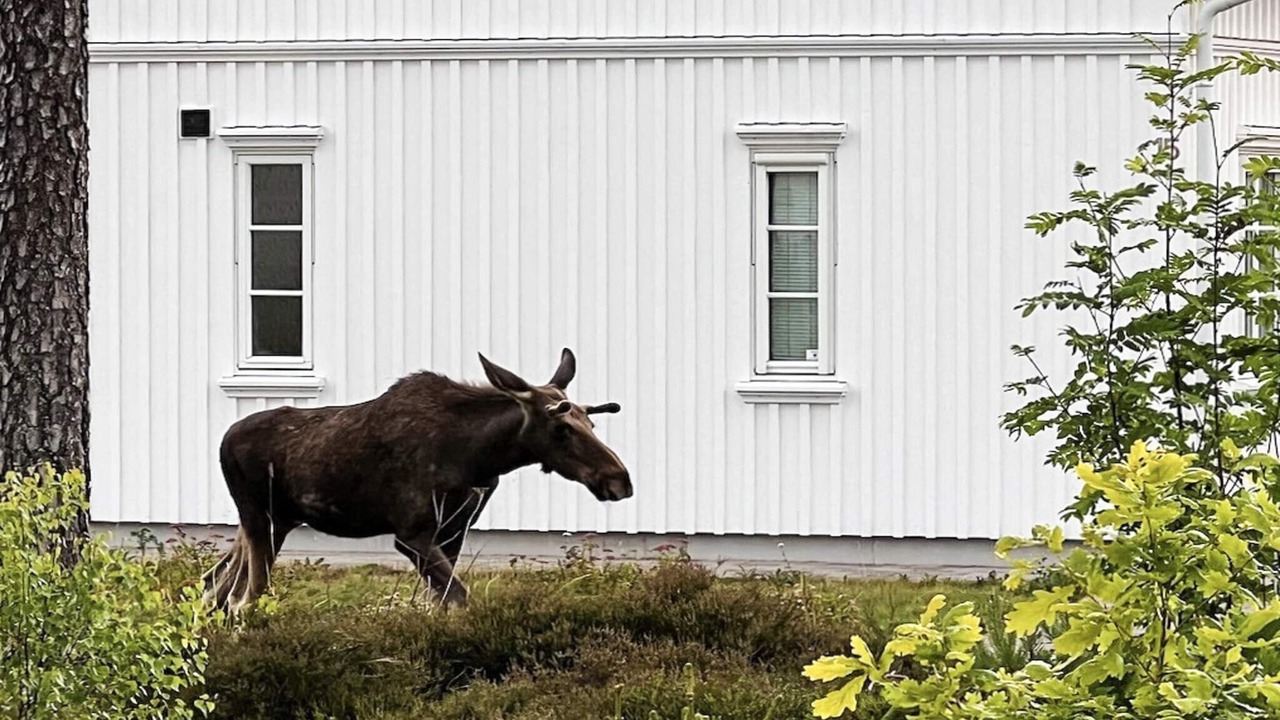 Photo of Outdoor in Manstad